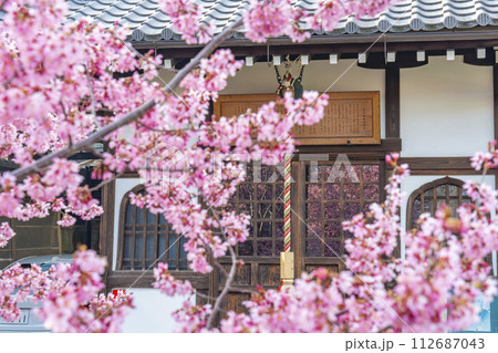 春の京都　長徳寺　地蔵堂のガラス戸に映るおかめ桜 112687043