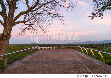 balcony with tea plantation and twilight sky balcony with tea plantation and twilight sky 112687219
