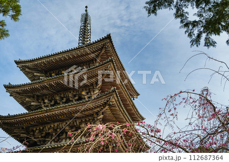 京都醍醐寺 五重塔の春景色 112687364