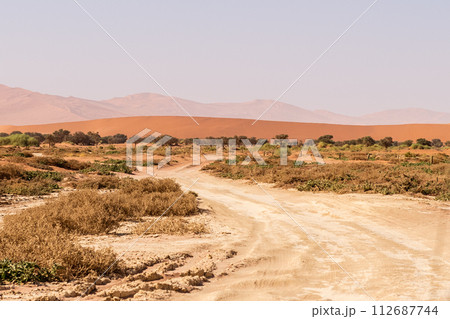 Desert landscape near Sossusvlei Desert landscape near Sossusvlei 112687744