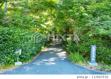 龍潭寺 参道 龍潭寺 参道 112687816