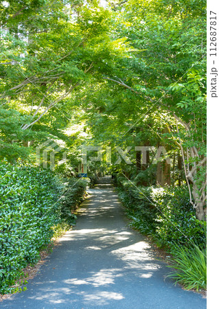 龍潭寺参道 龍潭寺参道 112687817