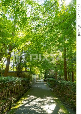 龍潭寺参道 112687821