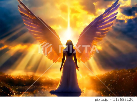 翼を広げた美しい女神のシルエット【AI生成画像】 翼を広げた美しい女神のシルエット【AI生成画像】 112688126