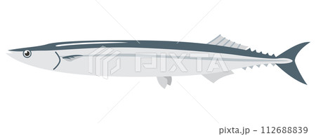 シンプルなサンマのイメージイラスト 112688839