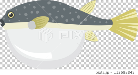 可愛的充氣河豚魚的圖像插圖 112688845