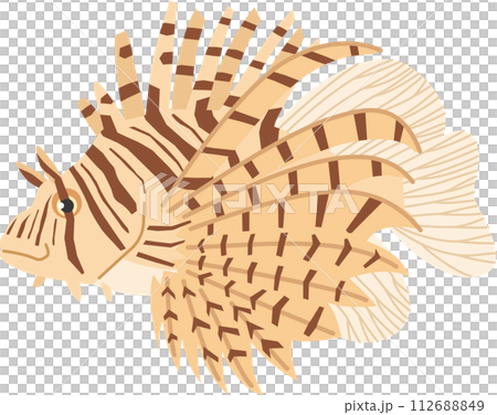 Simple lionfish image illustration Simple lionfish image illustration 112688849