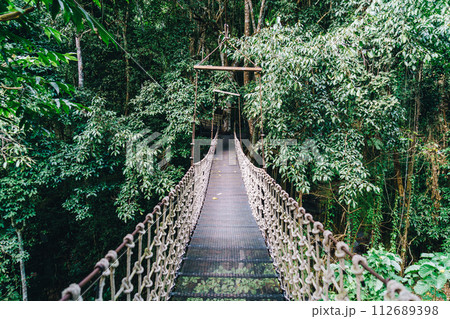 sky walk in the jungle 112689398