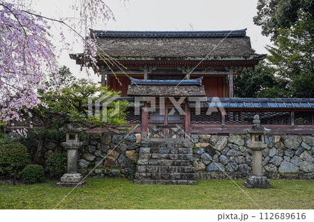 京都醍醐寺 清瀧宮本殿の春景色  112689616
