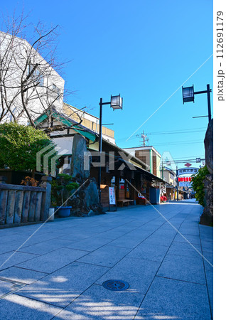 帝釈天参道　葛飾柴又　葛飾柴又の文化的景観　町並み 112691179