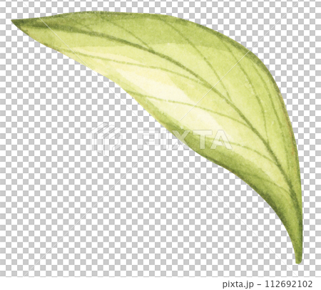 Set of watercolor green leaves elements. Set of watercolor green leaves elements. 112692102