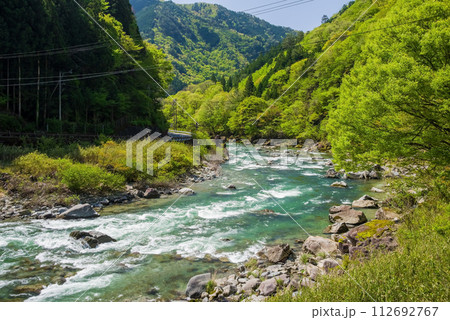 馬瀬川沿いの美しい新緑風景《岐阜県下呂市馬瀬・道の駅馬瀬美輝の里前》 112692767