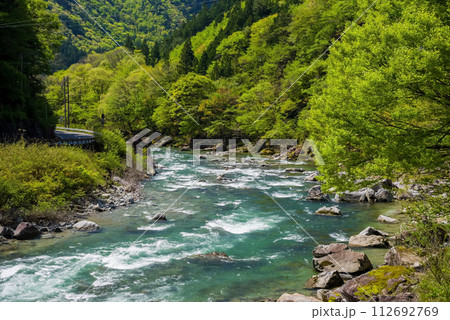 馬瀬川沿いの美しい新緑風景《岐阜県下呂市馬瀬・道の駅馬瀬美輝の里前》 馬瀬川沿いの美しい新緑風景《岐阜県下呂市馬瀬・道の駅馬瀬美輝の里前》 112692769