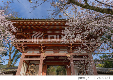 京都醍醐寺 西大門(仁王門)の春景色 京都醍醐寺 西大門(仁王門)の春景色 112692781