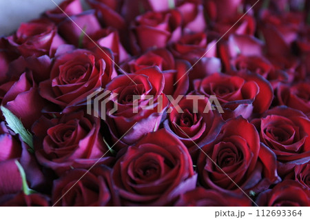 深紅のバラ（花束） 112693364