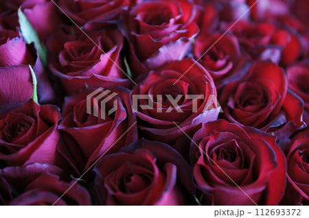 深紅のバラ(花束) 深紅のバラ(花束) 112693372