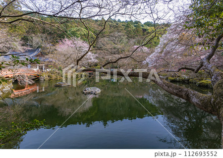京都醍醐寺 弁天池と弁天堂の春景色 京都醍醐寺 弁天池と弁天堂の春景色 112693552