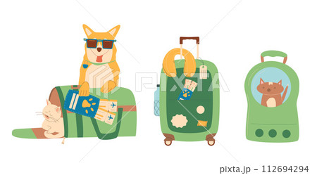 Travel with pets set. Trip with cats and dogs. Suitcase transportation box and backpack carrier, passport with tickets and domestic animals. Vector illustration 112694294