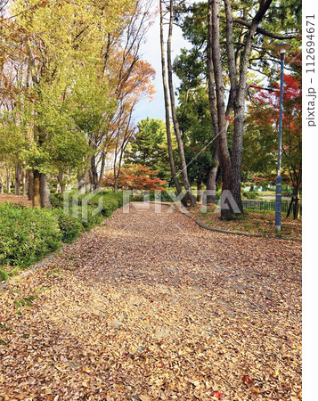 落ち葉の敷き詰まる公園の遊歩道 落ち葉の敷き詰まる公園の遊歩道 112694671