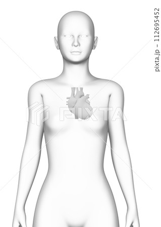 人の心臓, 女性, 3Dモデル 112695452