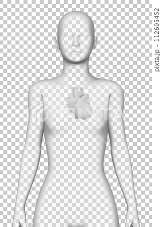 人類的心臟，女人，3D模型 112695452