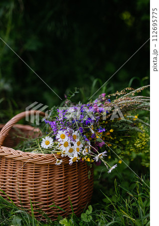 Wicker basket with meadow flowers. A colorful variety of summer wildflowers. Wicker basket with meadow flowers. A colorful variety of summer wildflowers. 112695775