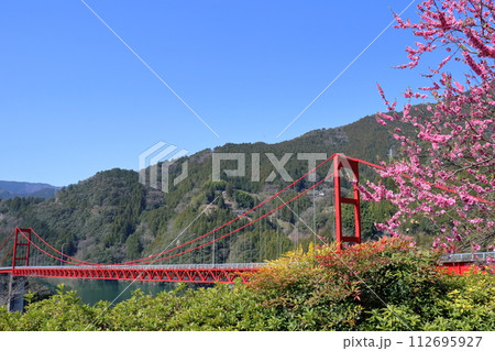 大渡ダム大橋の景観 春 (高知県 仁淀川町 大渡ダム湖畔) 大渡ダム大橋の景観 春 (高知県 仁淀川町 大渡ダム湖畔) 112695927