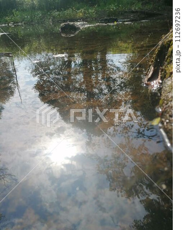 Live nature Live nature 112697236