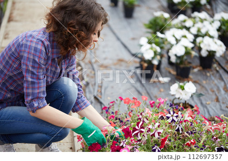 happy female nursery worker trimming plants in greenhouse 112697357