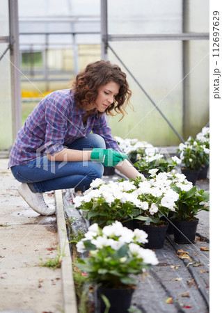 happy female nursery worker trimming plants in greenhouse 112697629