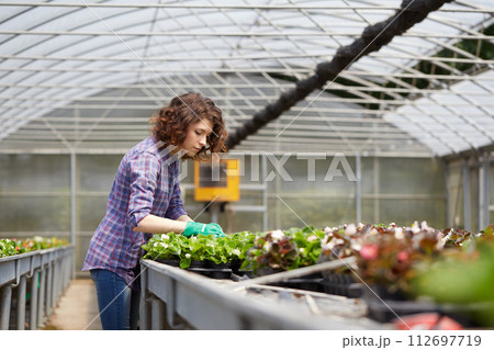 happy female nursery worker trimming plants in greenhouse 112697719