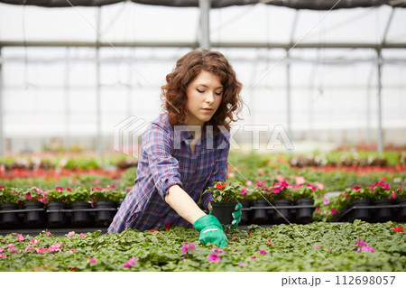 happy female nursery worker trimming plants in greenhouse 112698057