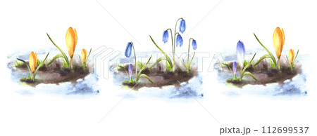 Watercolor painted spring primary flowers crocuses, scylla, saffron illustration set. Arrival of spring landscape, the awakening of nature, melting snow. Card print clipart. Isolated white background Watercolor painted spring primary flowers crocuses, scylla, saffron illustration set. Arrival of spring landscape, the awakening of nature, melting snow. Card print clipart. Isolated white background 112699537