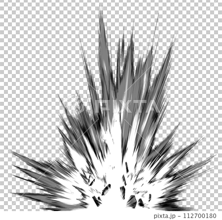 モノクロの爆発23B 112700180