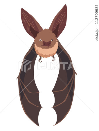 Bat. Concept cartoon bat. Vector clipart illustration isolated on white background Bat. Concept cartoon bat. Vector clipart illustration isolated on white background 112700682