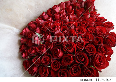 エレガントな深紅のバラ エレガントな深紅のバラ 112701021