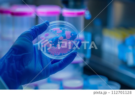 A gloved hand holds a petri dish with a bacterial culture. An agar plate full of microbacteria and microorganisms 112701128