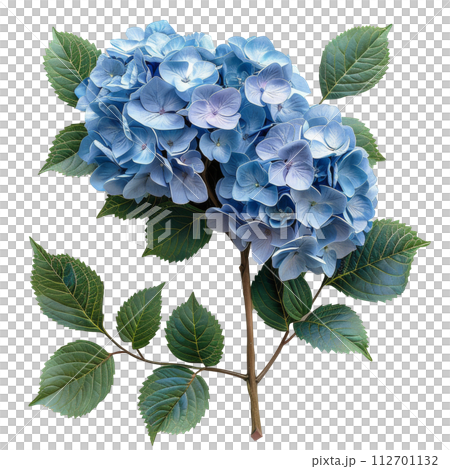 Bouquet of Blue Flowers With Green Leaves 112701132