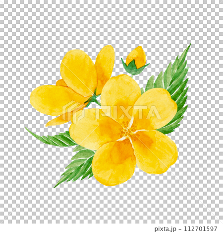 山吹の花の水彩イラスト 112701597