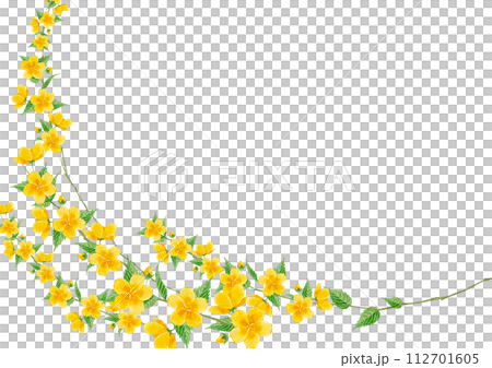 山吹の花の水彩イラスト　背景 フレーム 112701605