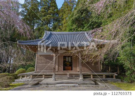京都醍醐寺 真如三昧耶堂の春景色 京都醍醐寺 真如三昧耶堂の春景色 112703373