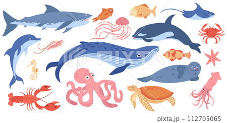 Hand drawn wildlife composition with sea animals on white background 112705065