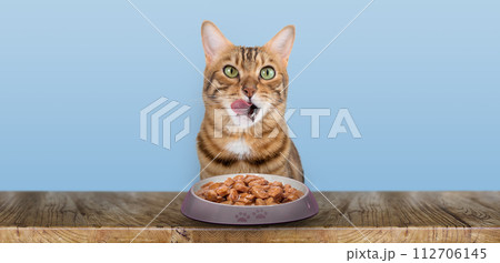 A domestic cat eats cat wet food. 112706145