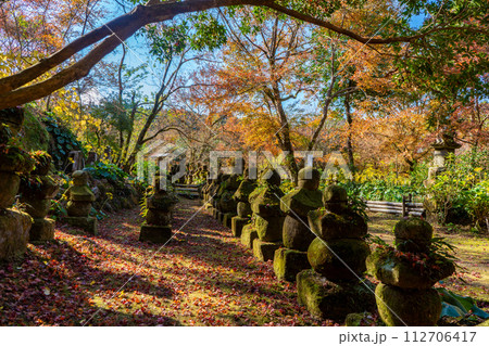 道隆寺跡の紅葉風景（肝属郡肝付町） 112706417