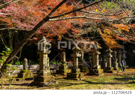 道隆寺跡の紅葉風景(肝属郡肝付町) 道隆寺跡の紅葉風景(肝属郡肝付町) 112706429