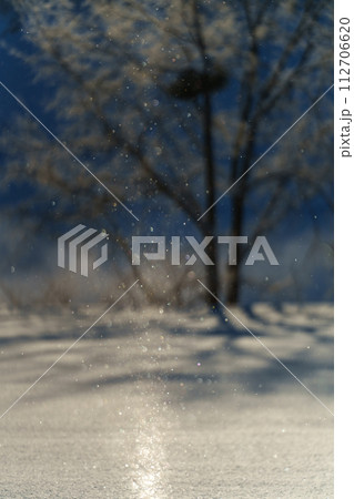 ダイヤモンドダスト・サンピラーの煌き　冬の北海道の絶景 112706620