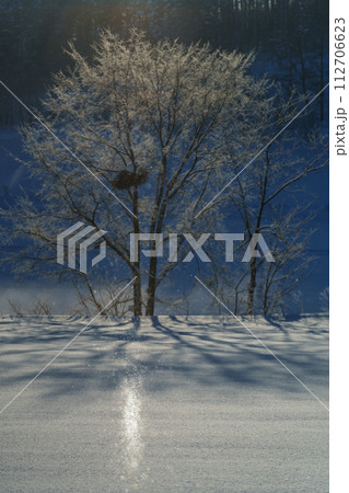 ダイヤモンドダスト・サンピラーの煌き　冬の北海道の絶景 112706623