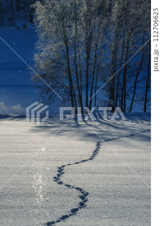ダイヤモンドダスト・サンピラーの煌き 冬の北海道の絶景 ダイヤモンドダスト・サンピラーの煌き 冬の北海道の絶景 112706625