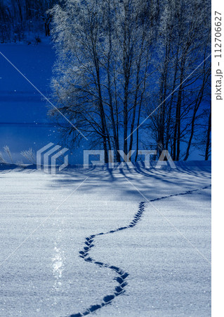 ダイヤモンドダスト・サンピラーの煌き　冬の北海道の絶景 112706627