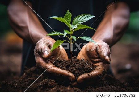 Farmer holding pile of ground with growing up plant under rain. Generative AI 112706882